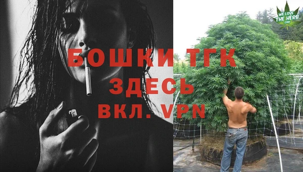 стафф Абаза