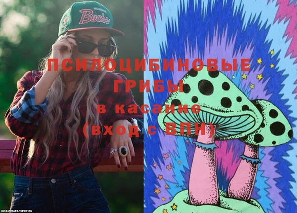 крисы Абдулино