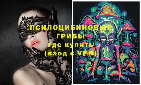 стафф Абаза