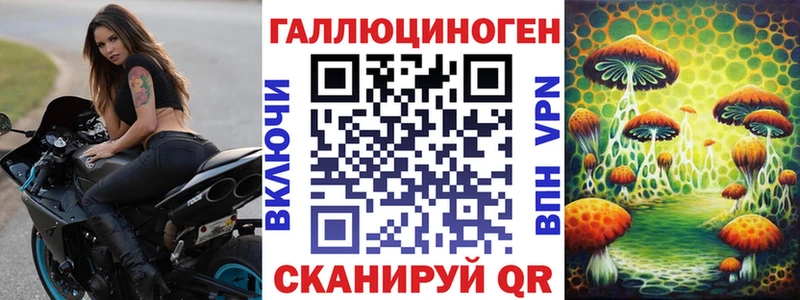 Купить закладки  Ак-Довурак  Псилоцибиновые грибы прущие грибы 